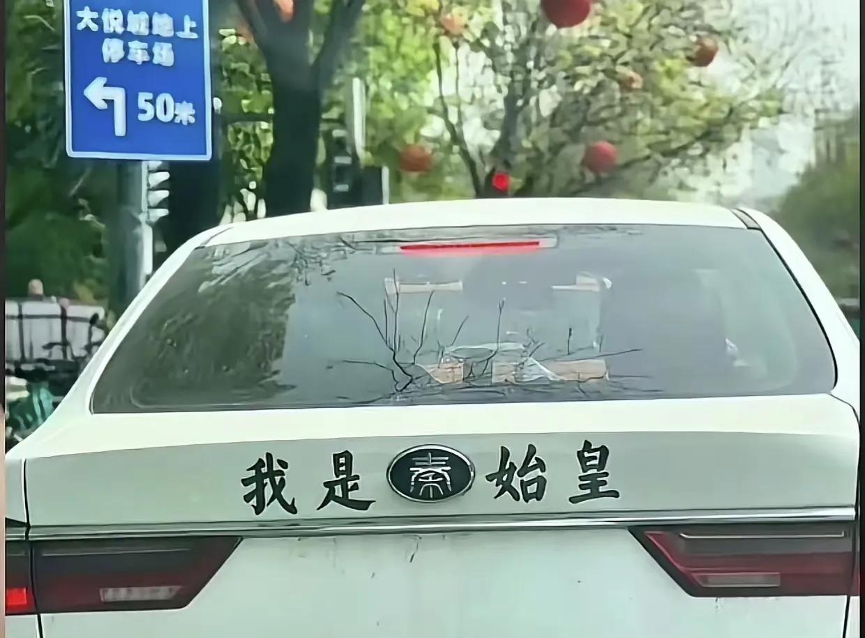 这绝对是玩车标的天花板了！