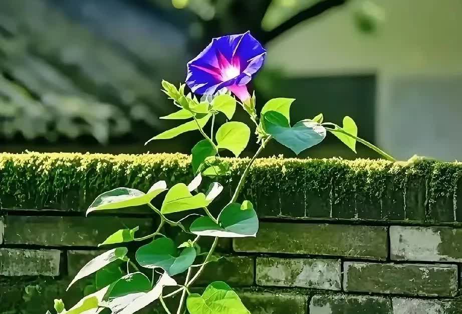 朋友今天突然与我聊天说活着没有意思，为什么要活着之类的话。
也难怪，朋友如今5