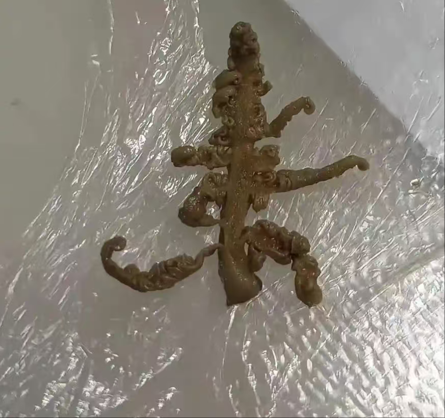吃麻辣烫吃到的，有人知道是什么吗？