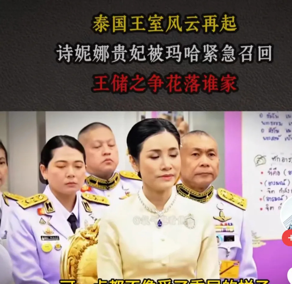 贵妃回宫：权力游戏











王室深宫里，一个女人被紧急召回，这消息
