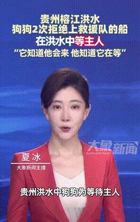 “还吃得下狗肉吗？”贵州榕江，洪水肆虐期间，一只小狗被救援队发现，谁料小狗不仅两