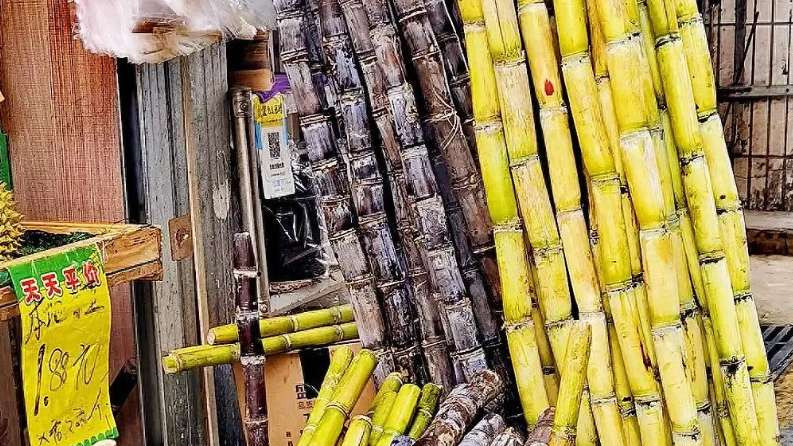 同样是甘蔗，“黄皮”和“黑皮”的区别很大，看明白别买错了