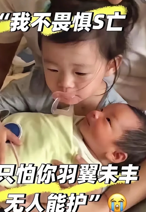 大s保护了妹妹妈妈大半辈子。可是他们却没保护她一次，大s放养着孩子，野蛮的生长，