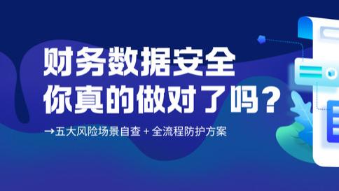 企业财务数据安全白皮书：从风险识别到智能防护的全链路实践