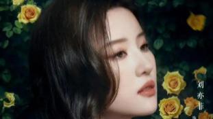 刘亦菲、杨紫激烈争锋——2025白玉兰“视后”王冠花落谁手？