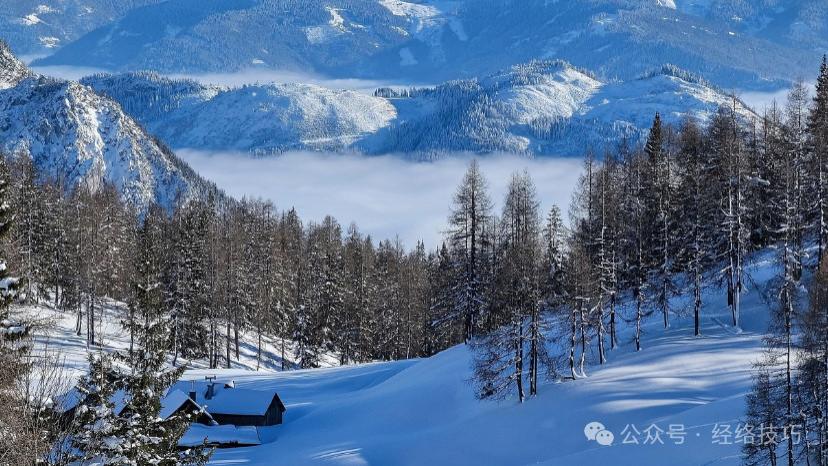 冬至养阳，一上来千万别“喂猛了”！很多人一开始就弄反了！