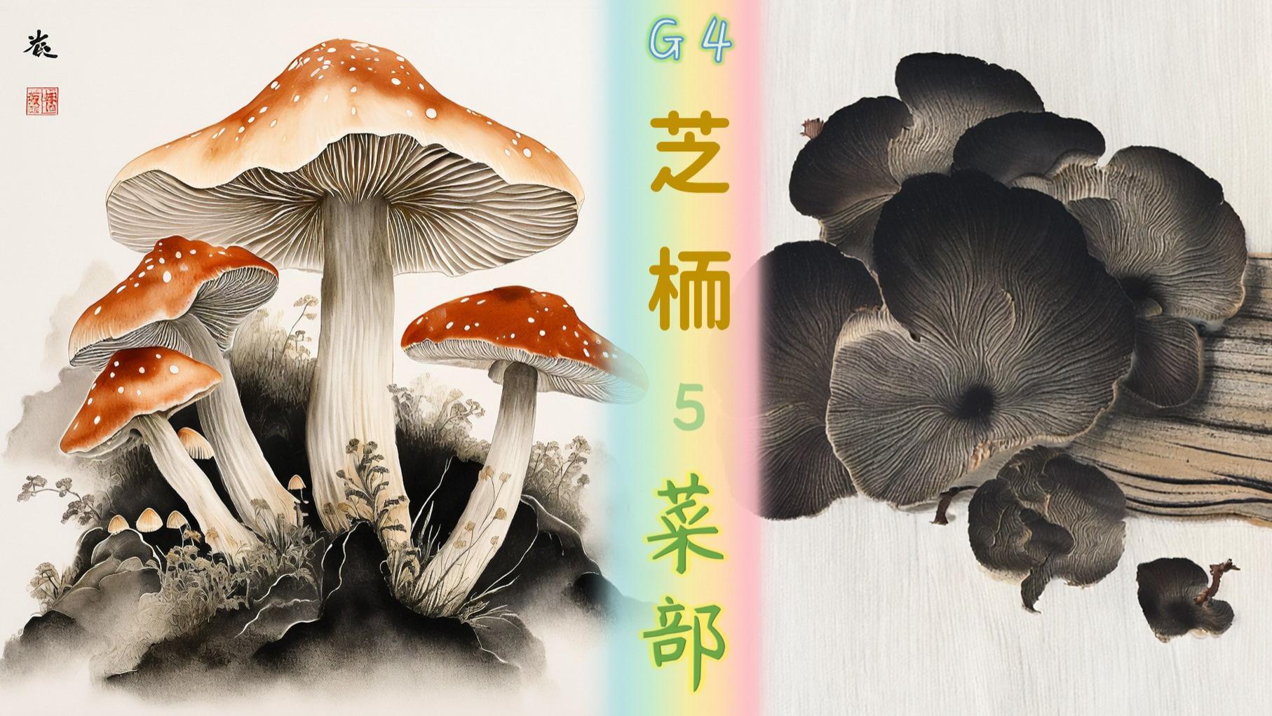 香菇，蘑菰，石耳、地耳，竹蓐，诸芝…《纲目》菜部–芝栭类