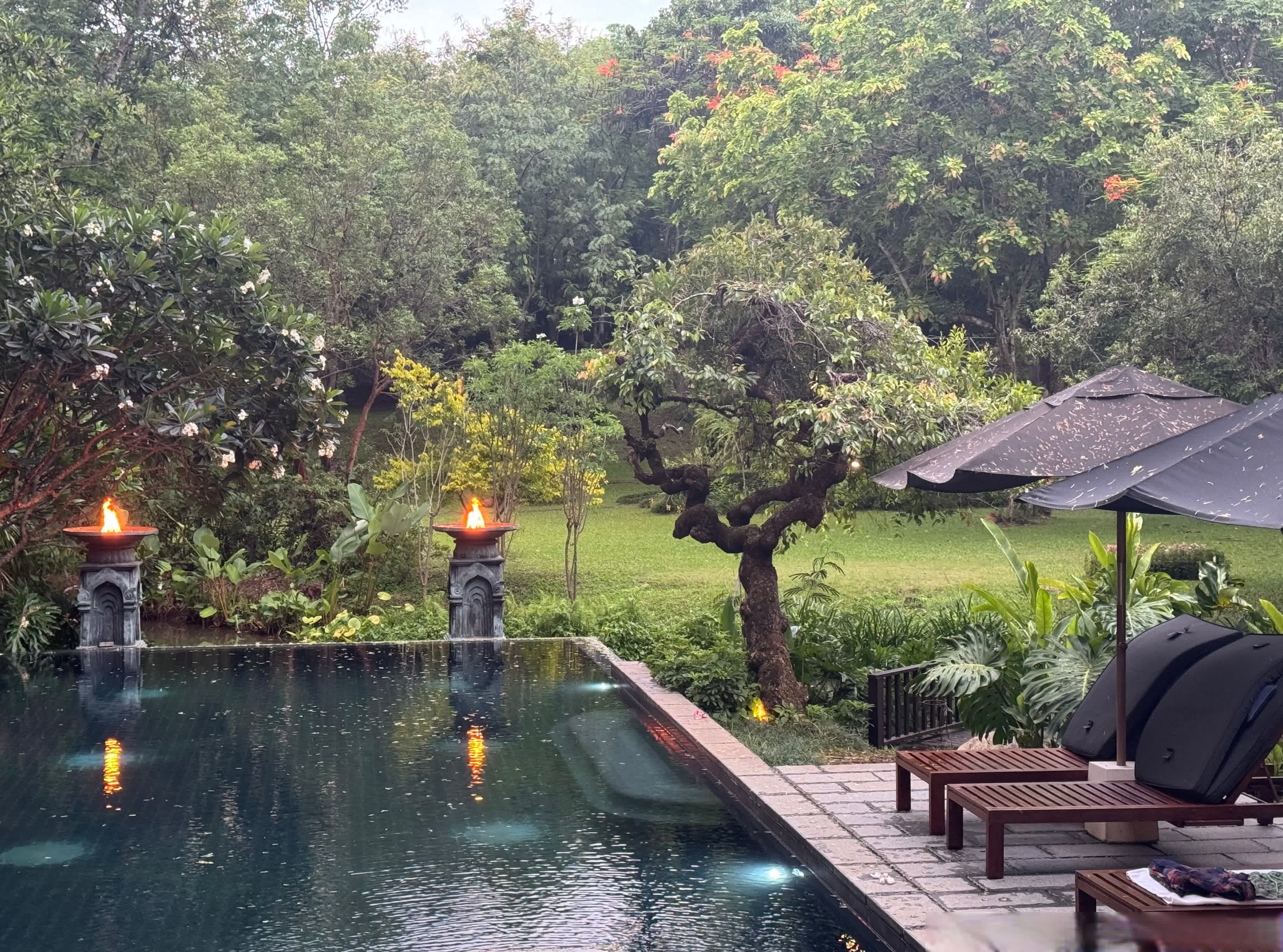 翻泳成夏🏊