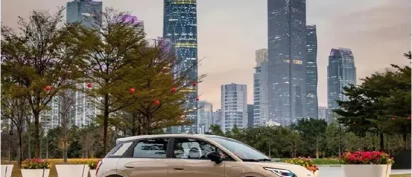 一觉醒来，车圈沸腾了，当比亚迪，
理想，零跑等新势力以为己占领中国
汽车市场