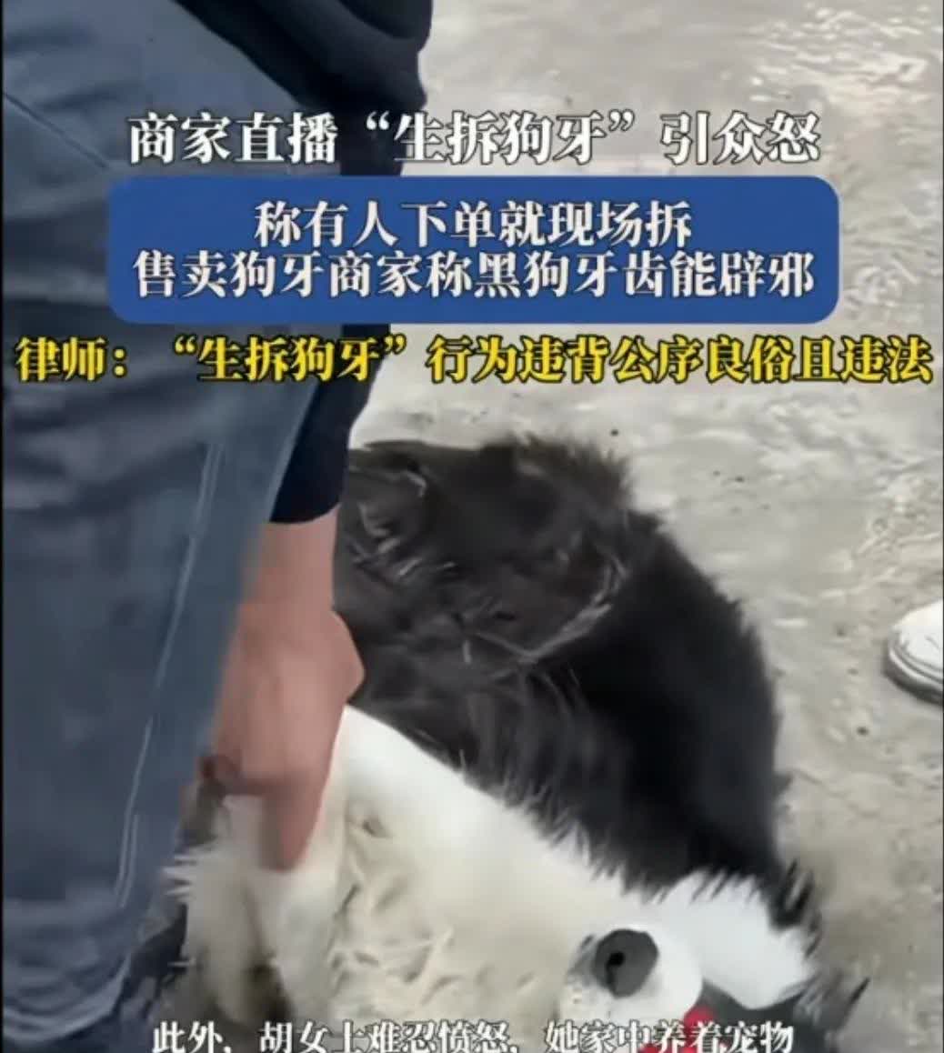 杀生不虐生，这种类型的直播早该封了。

江苏一女子闲来无事刷直播，无意间进入