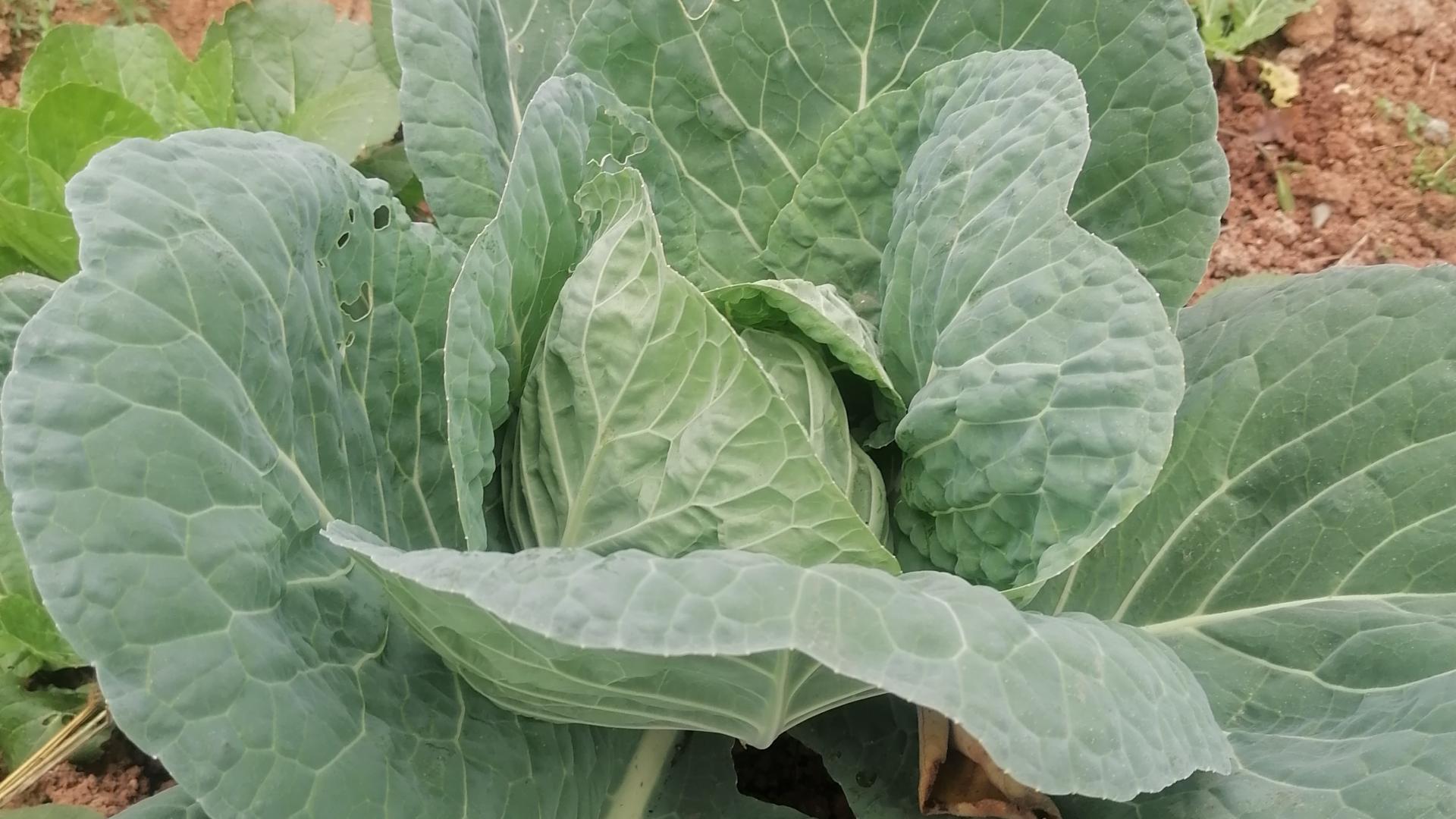 不介入他人因果，点到为止！