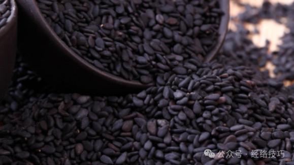冬天黑芝麻跟它更配哦！每天一碗，腰腿有劲、头发亮泽、睡觉也香甜！