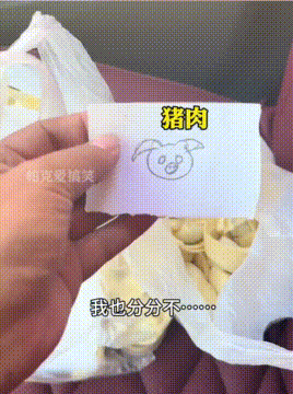 儿子务工离家，父母包好饺子给带着，不认字画画区分太泪目！