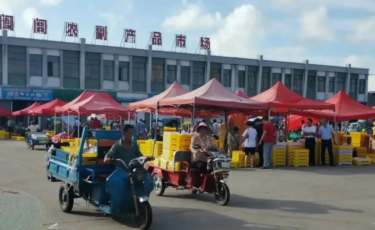 下午一点半，我来到了水蜜桃批发市场，准备要去给青岛姑姑家寄几箱桃子。
水蜜桃是我