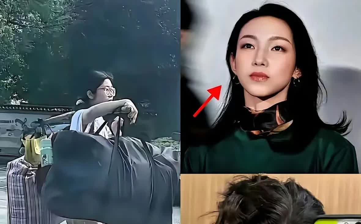 黄杨钿甜的天价耳环，我不能理解

那尔那茜的定向委培，我也不理解

我最