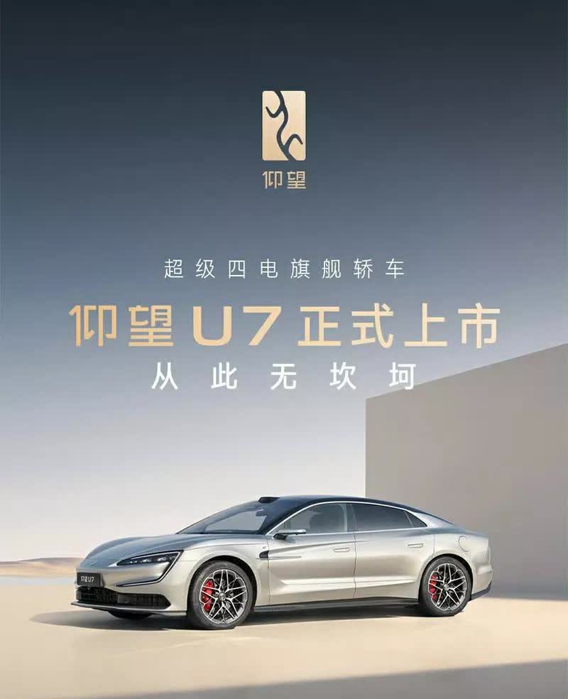 未来5年中国新能源品牌存活率：
比亚迪汽车——100%
小米汽车——100%