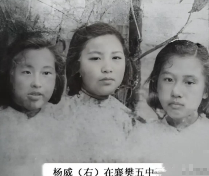 1941年，抗日女英雄杨威不幸被捕。被害前，残忍的敌人剥光她的衣服，只留一条短裤