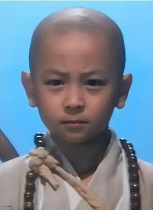 释小龙，原名陈小龙，2岁开始师从释永信学习武艺，是释永信的第一个徒弟，在释永信的