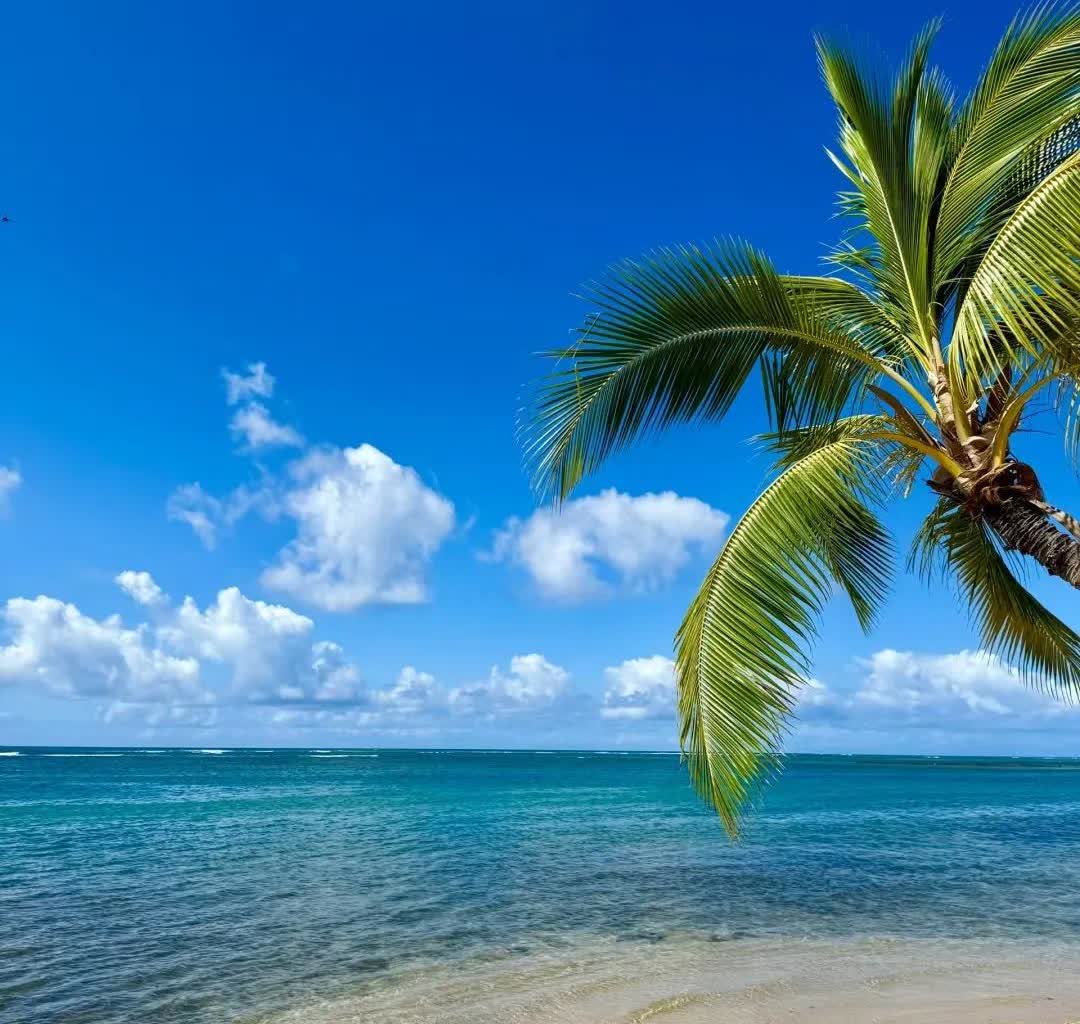 我有个住在美丽国夏威夷的朋友
给我打来了电话
他说他接到美丽国发出的消息，吓
