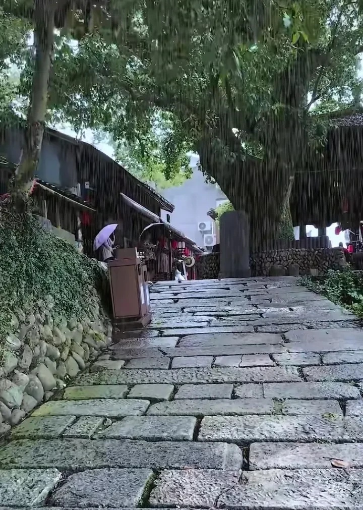 说日本进入低欲望社会，年轻人不结婚、不生娃、不买房、不社交，整天窝在屋子里打游戏