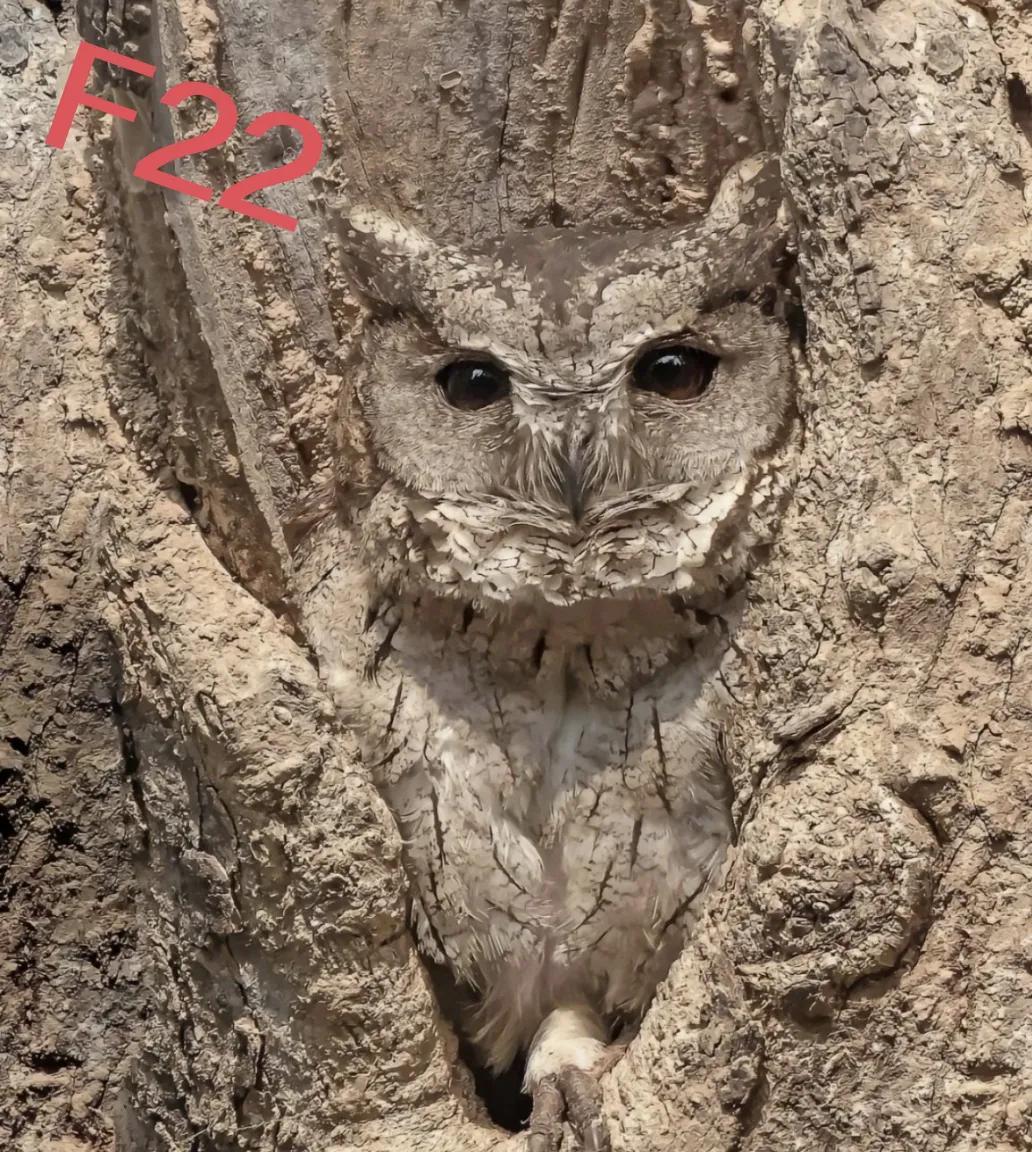 中美俄三国五代机隐身能力直观对比！
F22猛禽的隐身能力相当不错，整体上不存在什