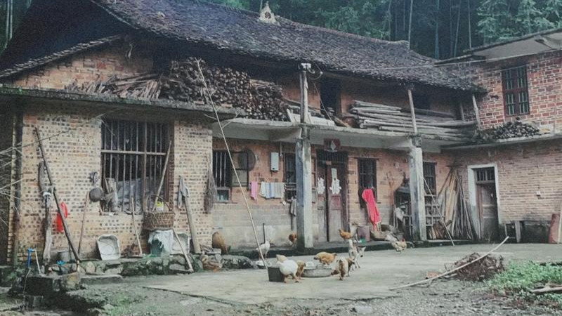 农村老房子没人住了，为什么会老的特别快？