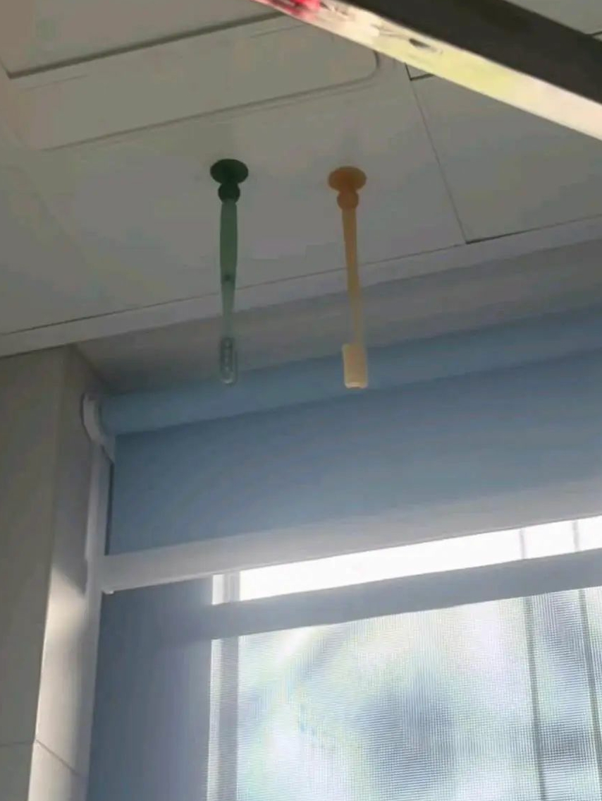 这天花板上的是牙刷？