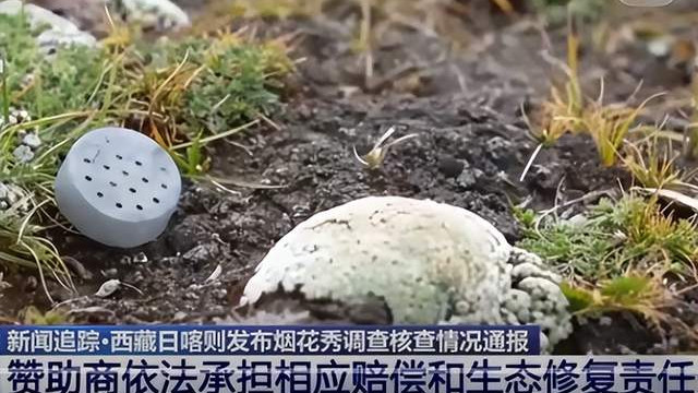 五十二秒烟花灼伤三十公顷高原，生态警钟为谁而鸣