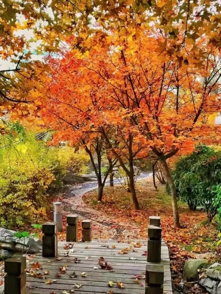 谁拿你立威,你就拿他立案
谁拿你立威，你就要当场地摁死谁。在这个时候你千万不能再