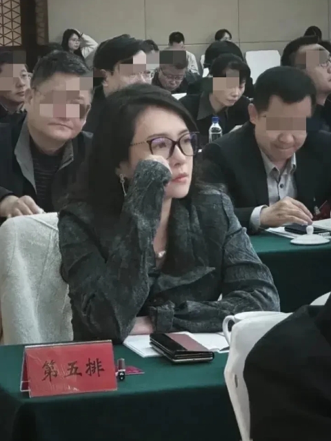 天啊！果然是认真搞事业的人最美，有网友见到北京会议中心开会的章子怡，第一次见到戴