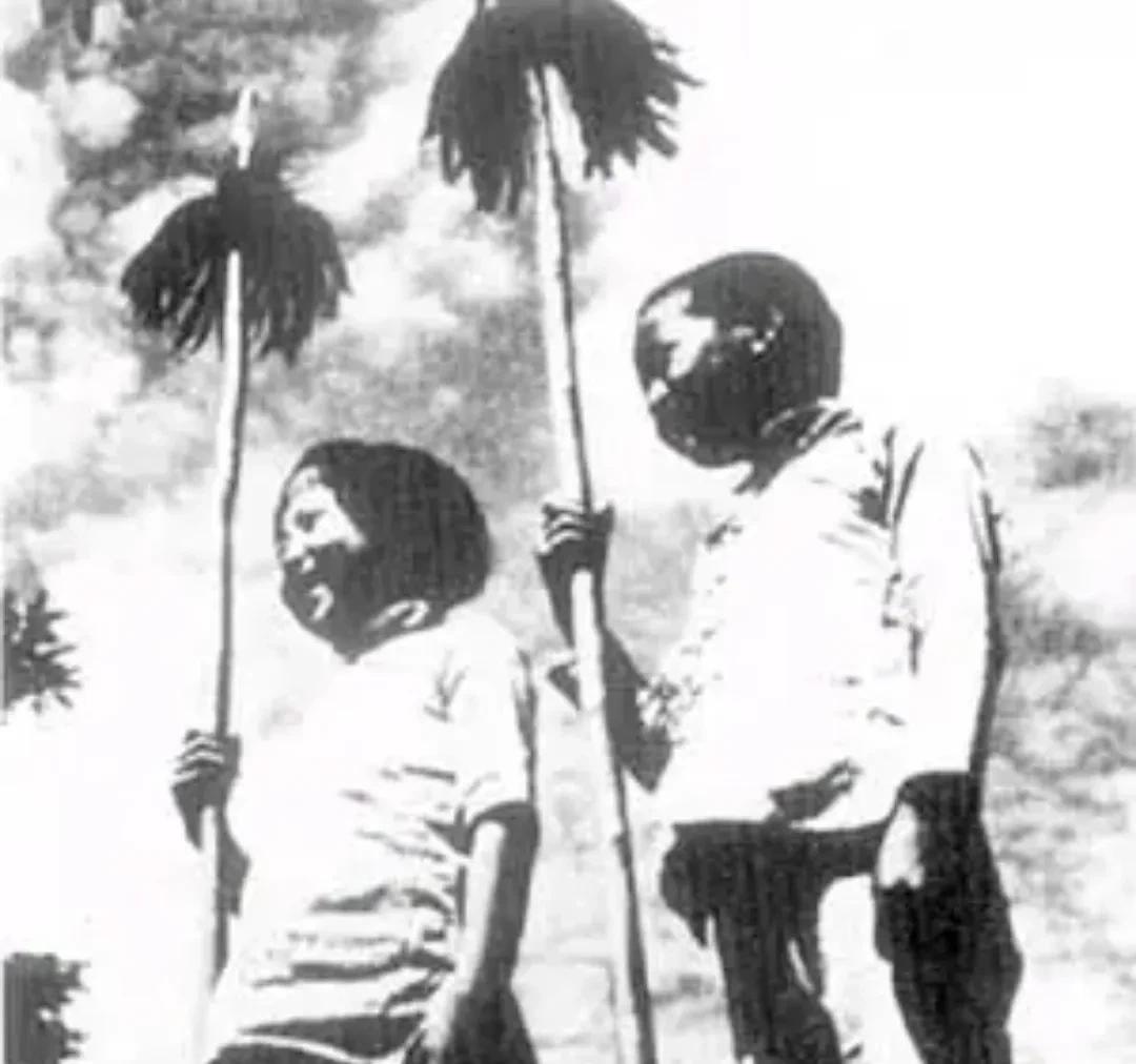抗战时一天，8岁的黑旦像条泥鳅一样黑亮光滑，他肩膀上扛着一根长长的甜秫秸，在通往