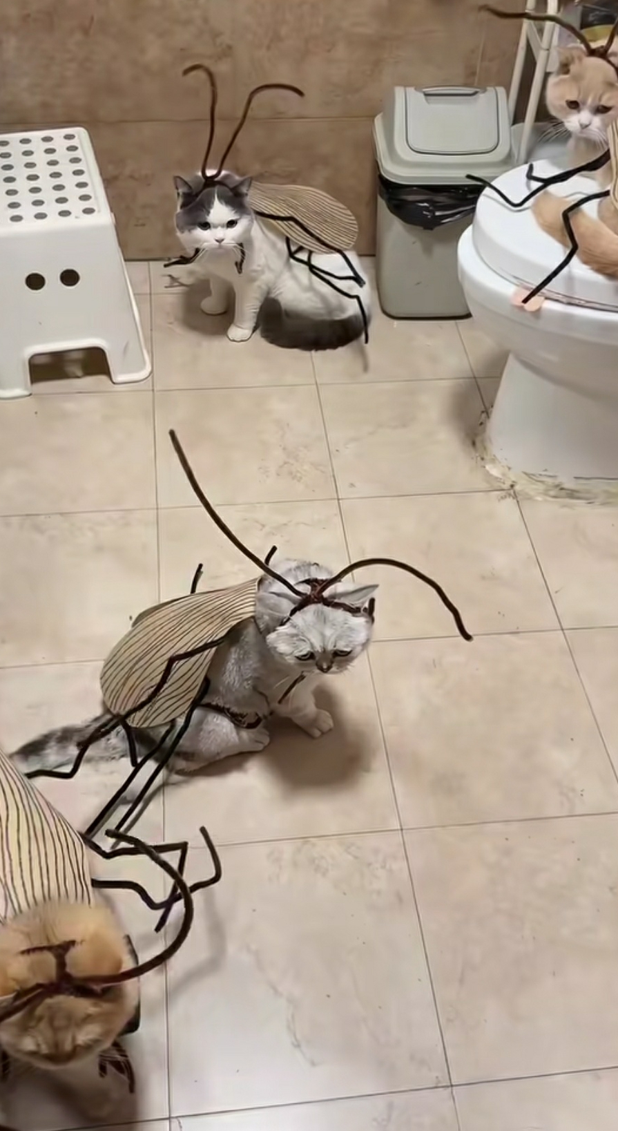 这是什么造型啊。