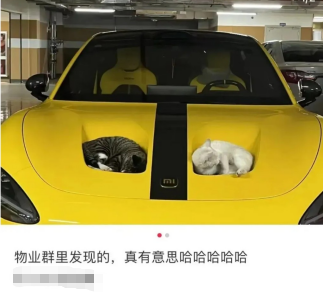 真有意思，哈哈哈哈哈