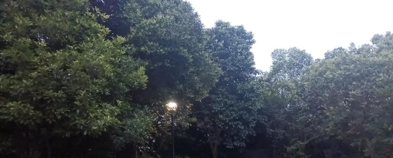 #我的宝藏兴趣#允许亲人撞南墙，看着朋友走弯路，目送爱人踩深坑，因为疼痛是最好的