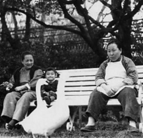 1981年5月，88岁的宋庆龄先生病逝。在临终前他留下了一封遗书：我死后将我和照