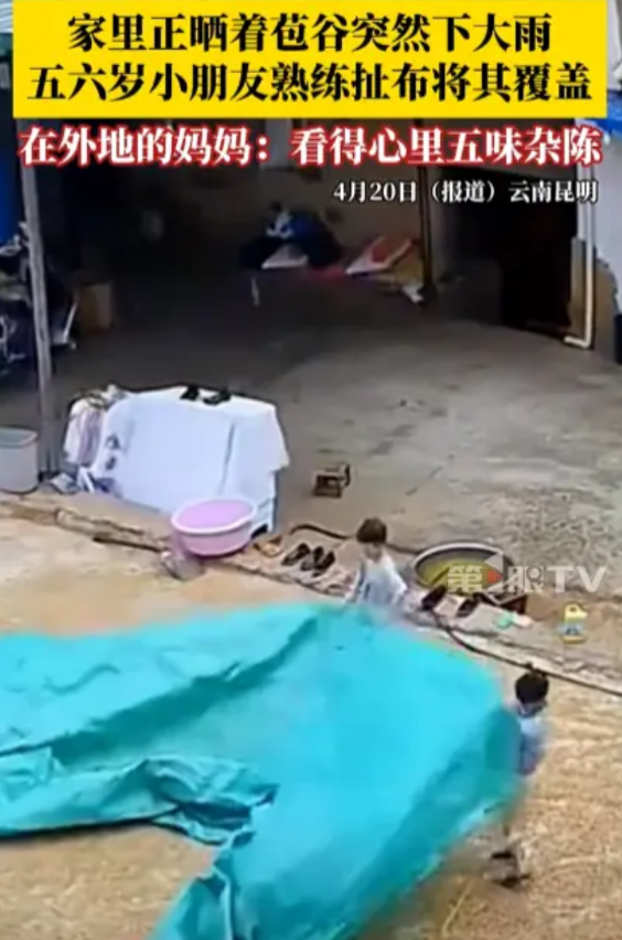 “看哭了！”近日，云南昆明，两位五六岁的小孩子因为家里没人，又突然下起了大雨，竟