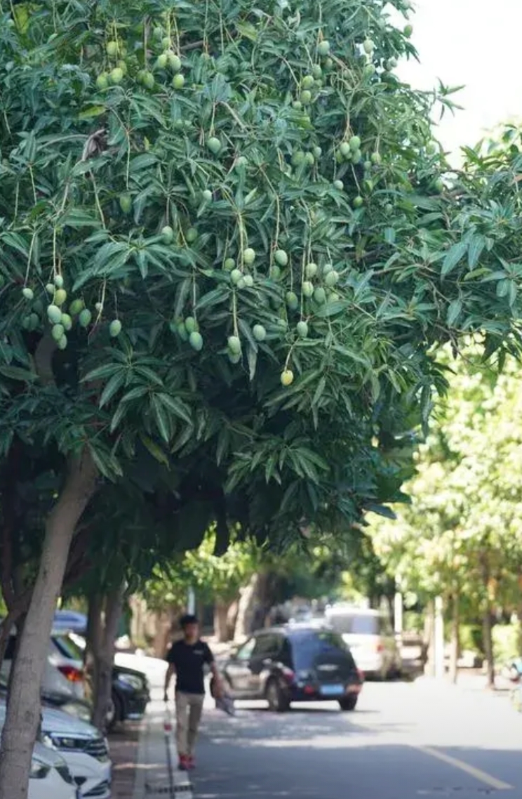 广州太适合打工人生活了。我一朋友在广州打工，月薪 7000，加班后能到 1000