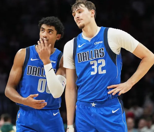 NBA常规赛，独行侠102-106不敌热火。
此役过后，独行侠的攻防效率排名：