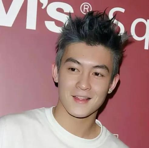 陈冠希对“未来是否拍戏”的回应呈现出开放态度，但也透露出无奈。他在多个场合表示：