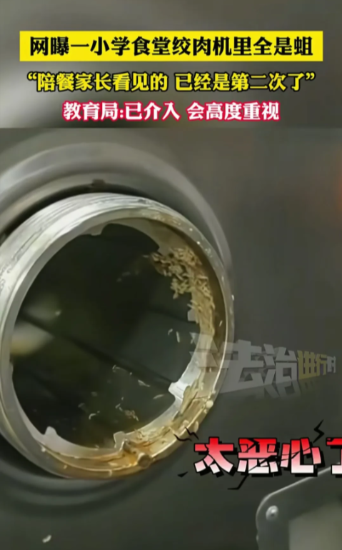 太恶心了！
学校食堂绞肉机里都是蛆，
被陪餐家长发现，
关键还是第二次了，
真是