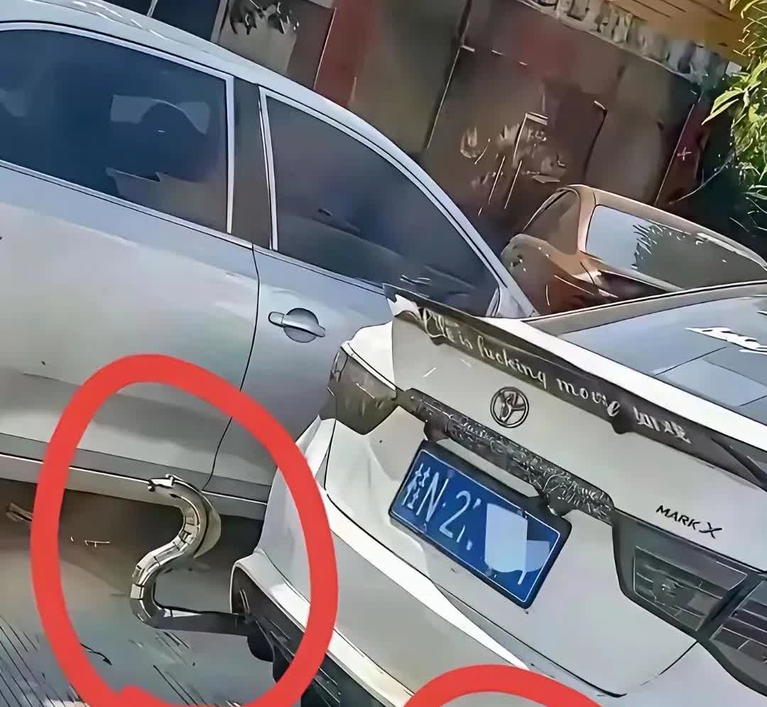 现在的年轻人真的是追求个性啊。在这个车后面搞两个装饰属实看不懂。这是两条眼镜蛇吗