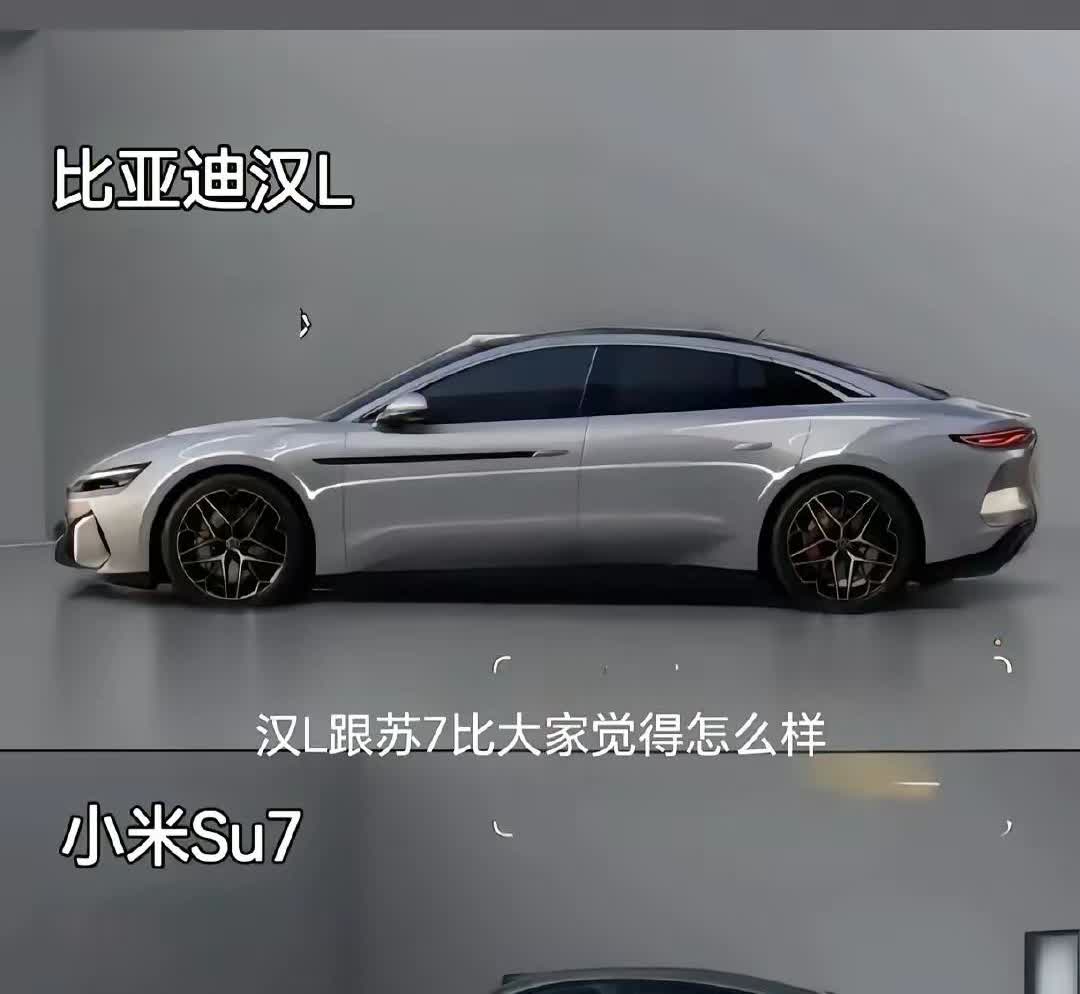 从汉与苏7侧颜来看，我觉得汉还是协调一点！
老车企就是老车企。【来自懂车帝车友