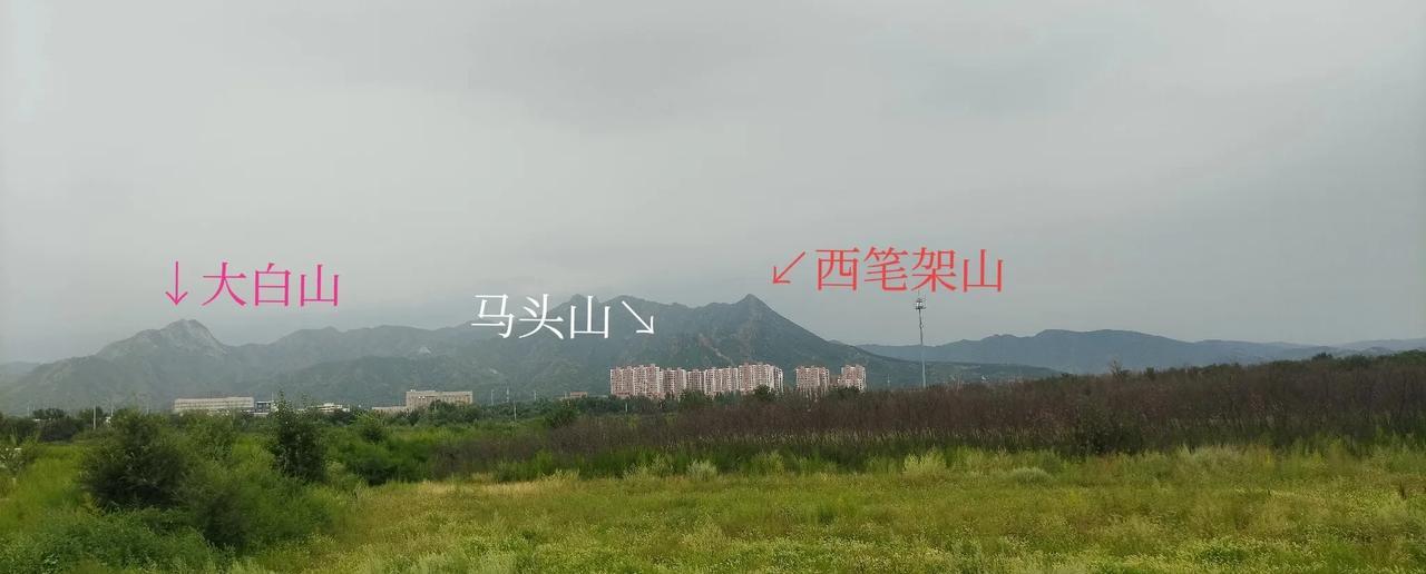云青青兮欲雨