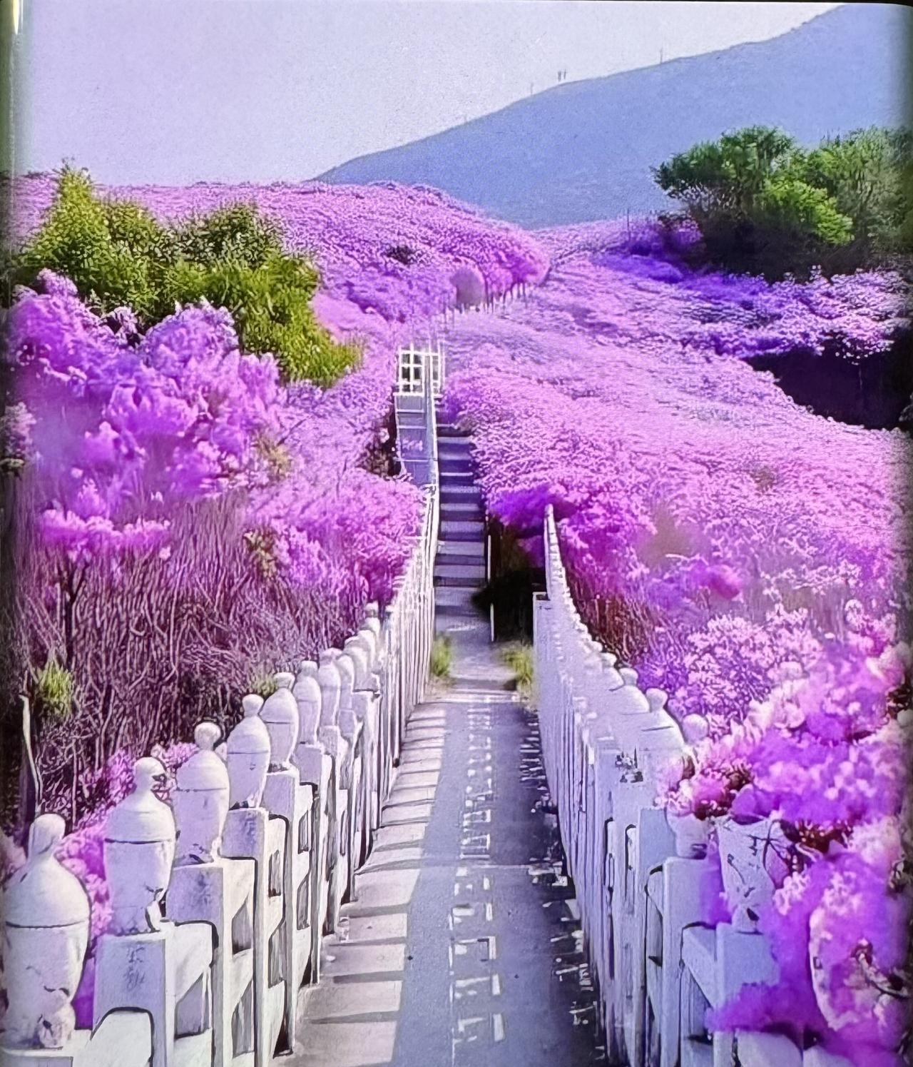 地球上有些街道看起来并不真实，身临其境都感到惊讶！五一劳动节快乐！