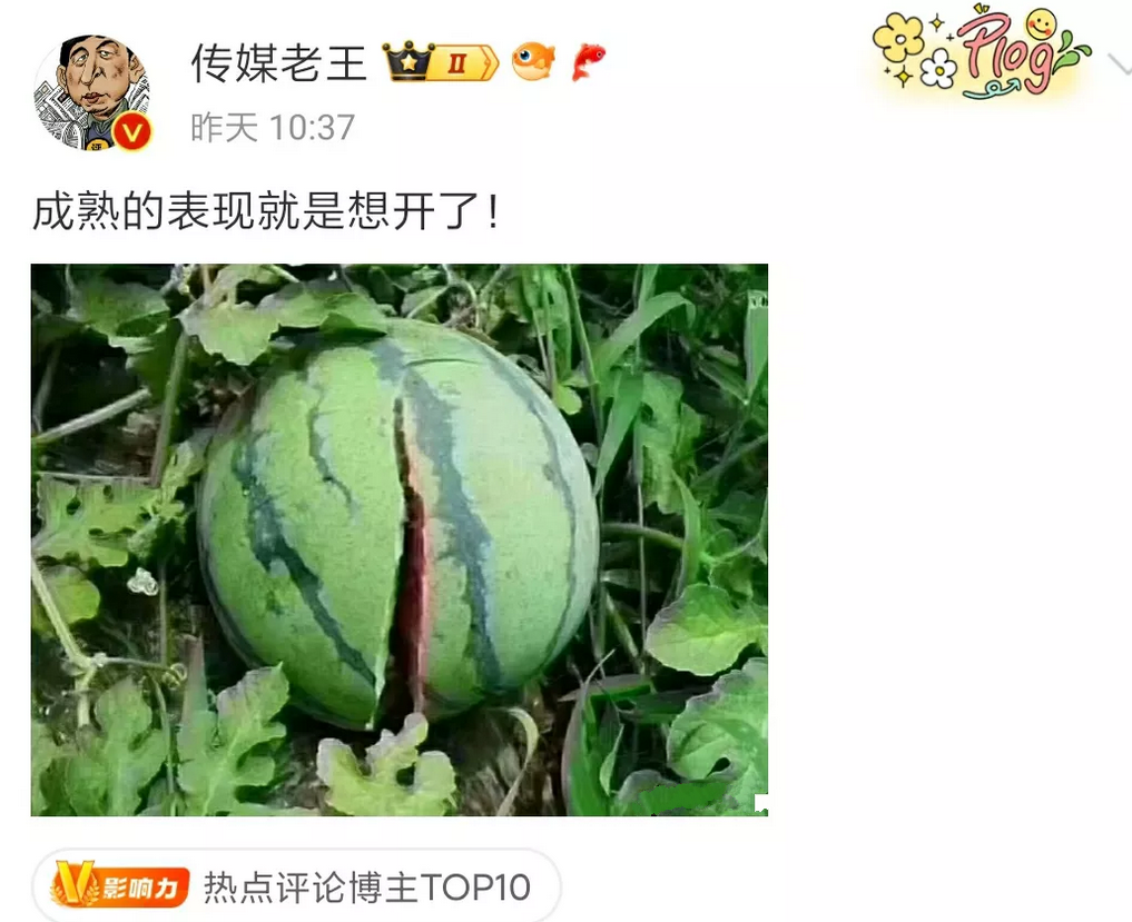成熟的表现何止是想开了，还像是摆烂。