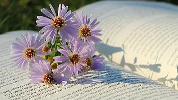 影视改编合作中编剧能否以“融资未果”为由单方解约？