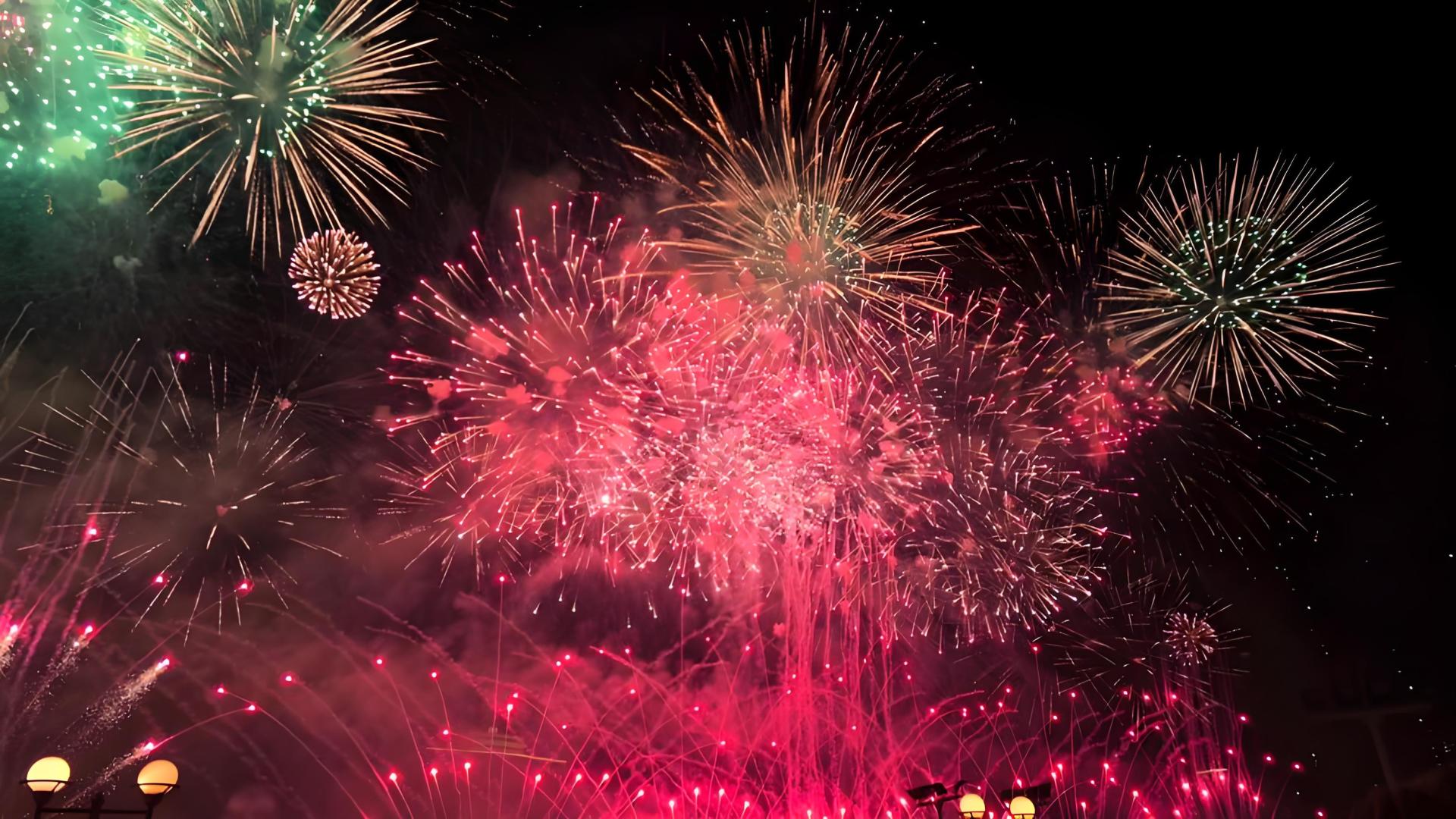 广州烟花汇演的黑子！双标废物，没本事就闭上你的臭嘴