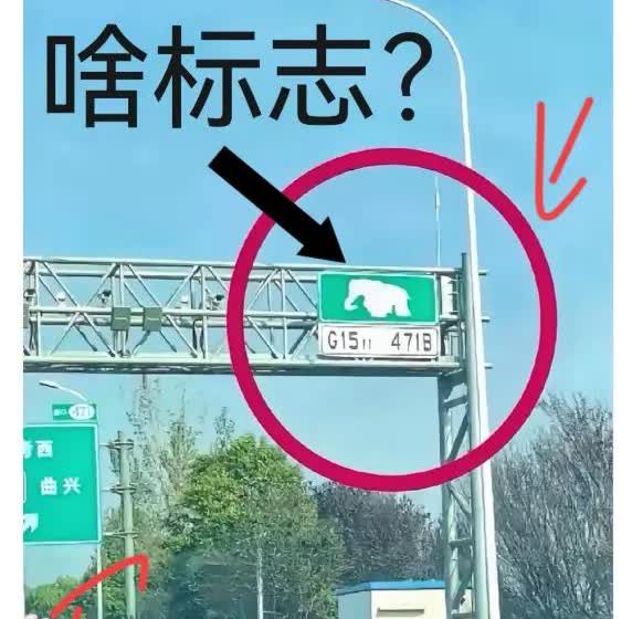 家人们，谁懂啊！今天跑高速，瞅见个带大象的标志，我这开车的，盯了老半天，脑子跟浆