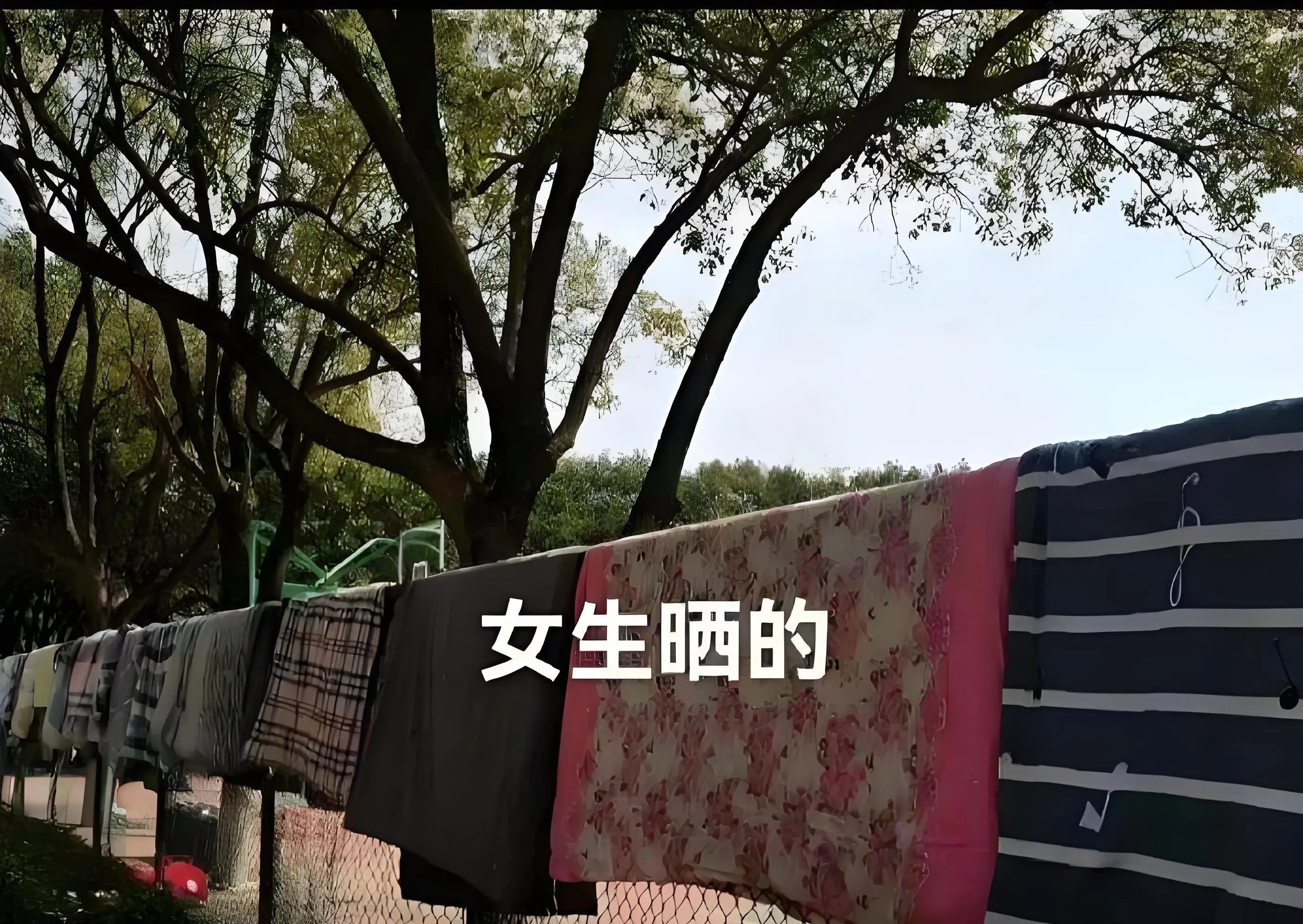男女生晒被子的区别。