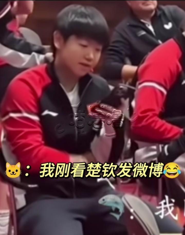 “我刚看楚钦发的微博！”她说的是楚钦而不是大头，她知道他不喜欢别人喊他大头！
以